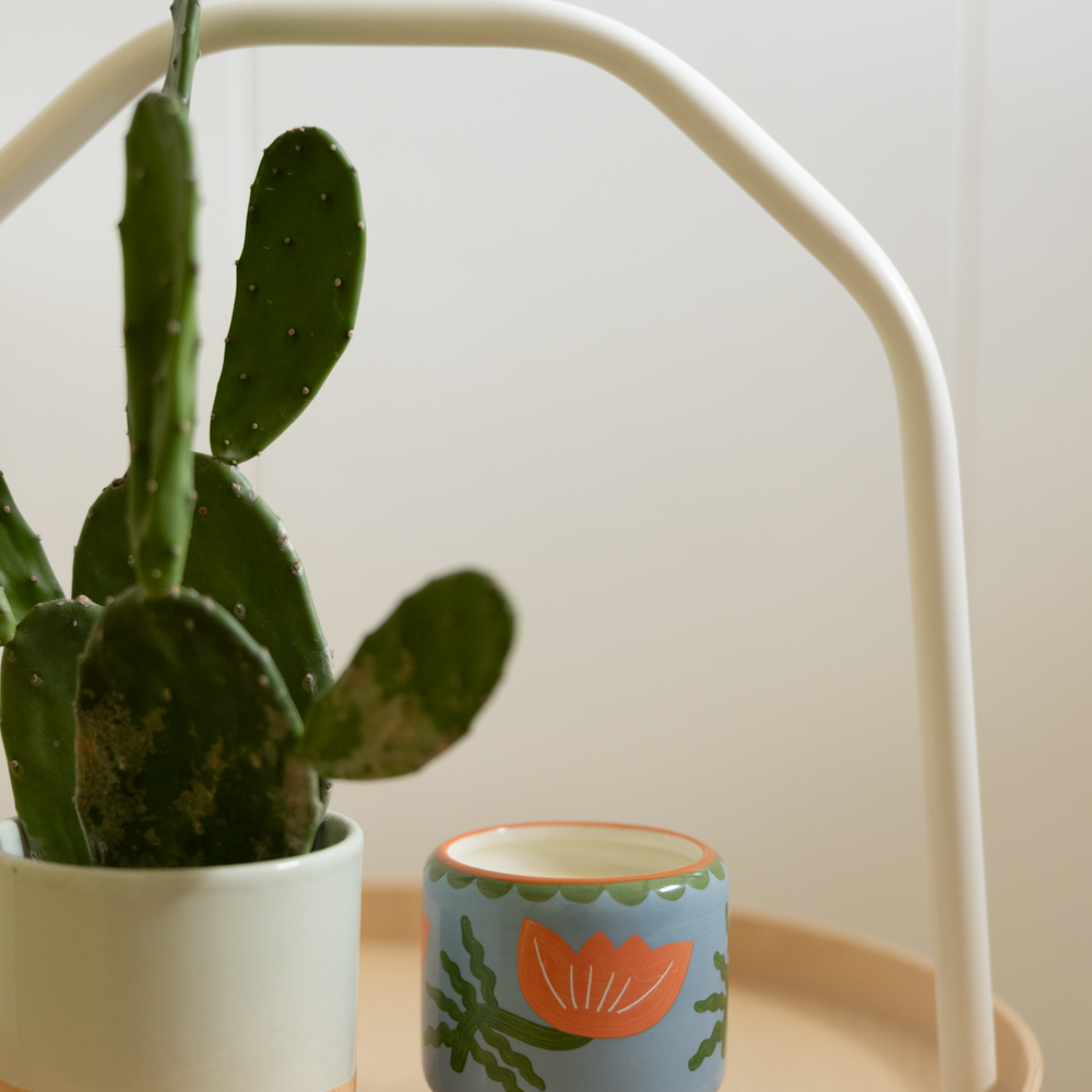 Paddywax A Dopo Cactus Flower Ceramic Scented Candle, Coconut & Aloe Vera