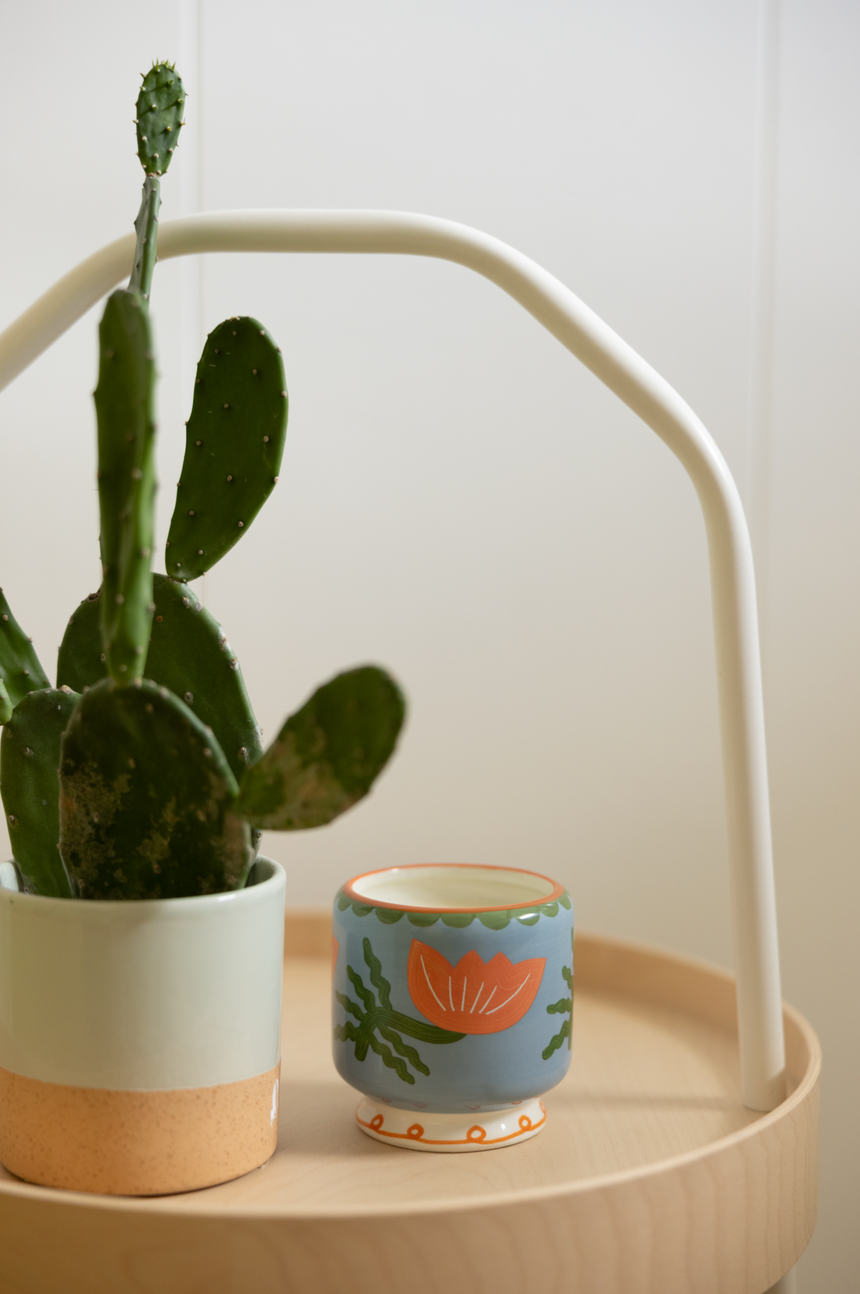 Paddywax A Dopo Cactus Flower Ceramic Scented Candle, Coconut & Aloe Vera