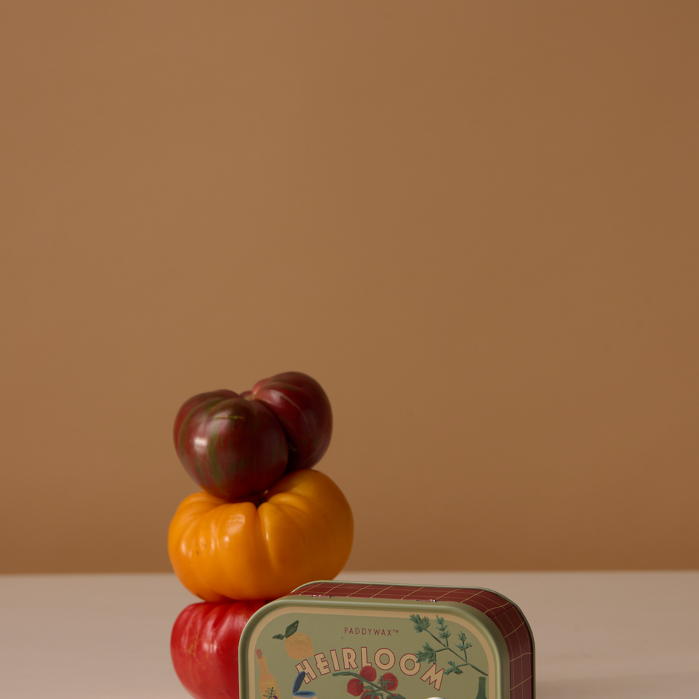 Paddywax Bistro Heirloom Tomatoes Tin Scented Candle, Lemon & Sage