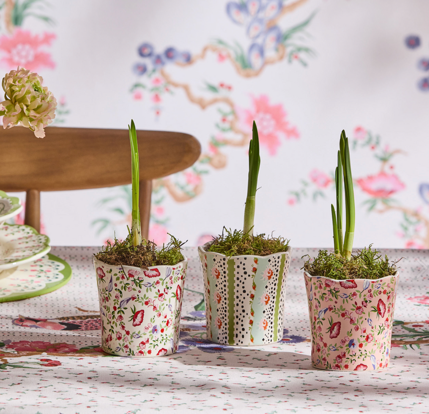 Cath Kidston Spring Birds Mini Plant Pots, Set Of 3