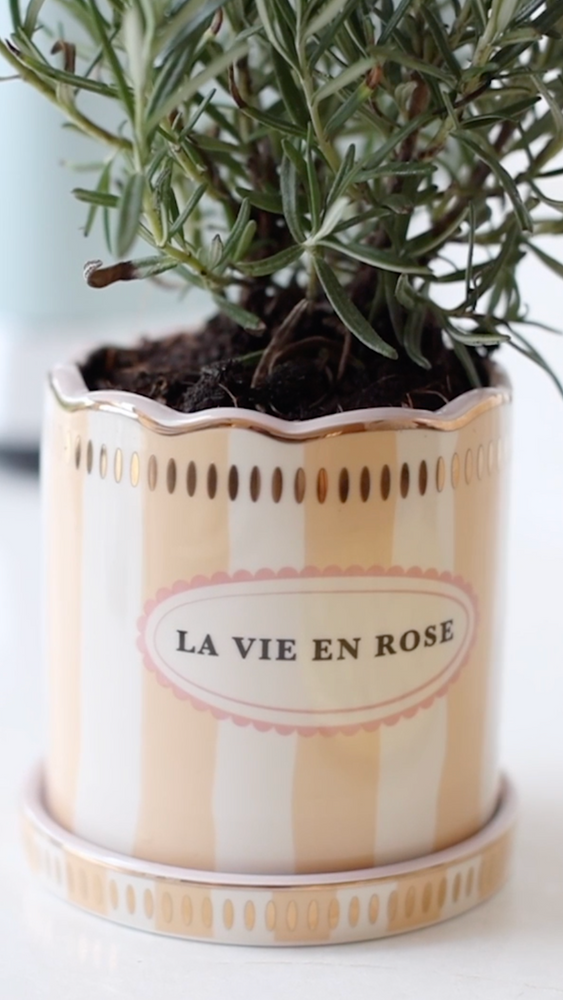 Yvonne Ellen Plant Pot & Saucer Set