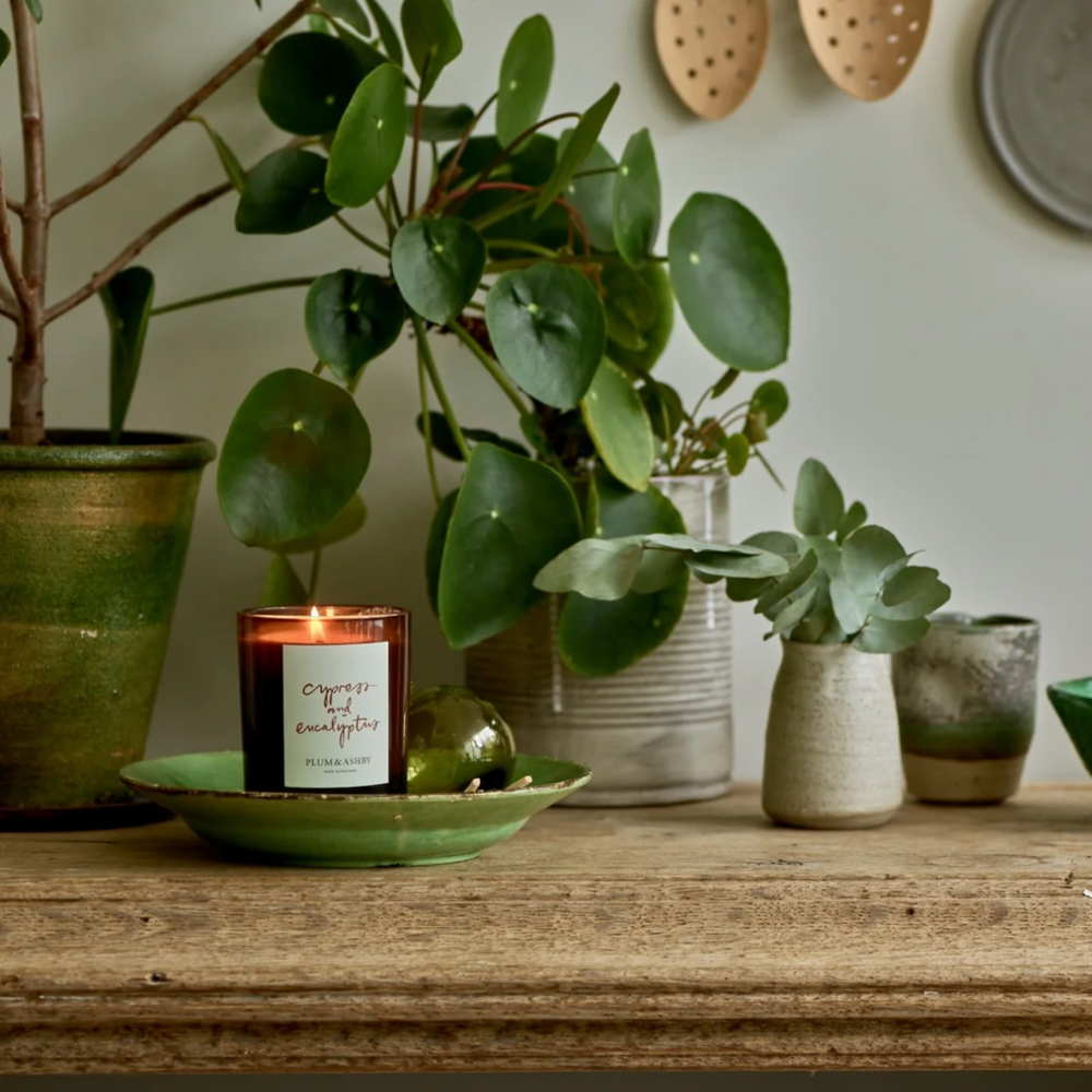 Plum & Ashby Scented Candle, Cypress & Eucalyptus