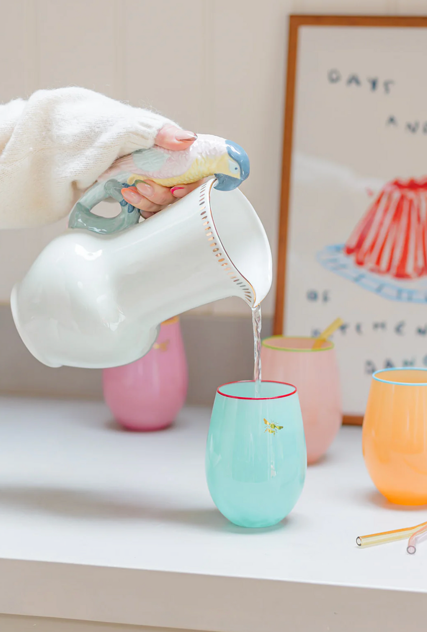 Yvonne Ellen Ceramic Parrot Jug