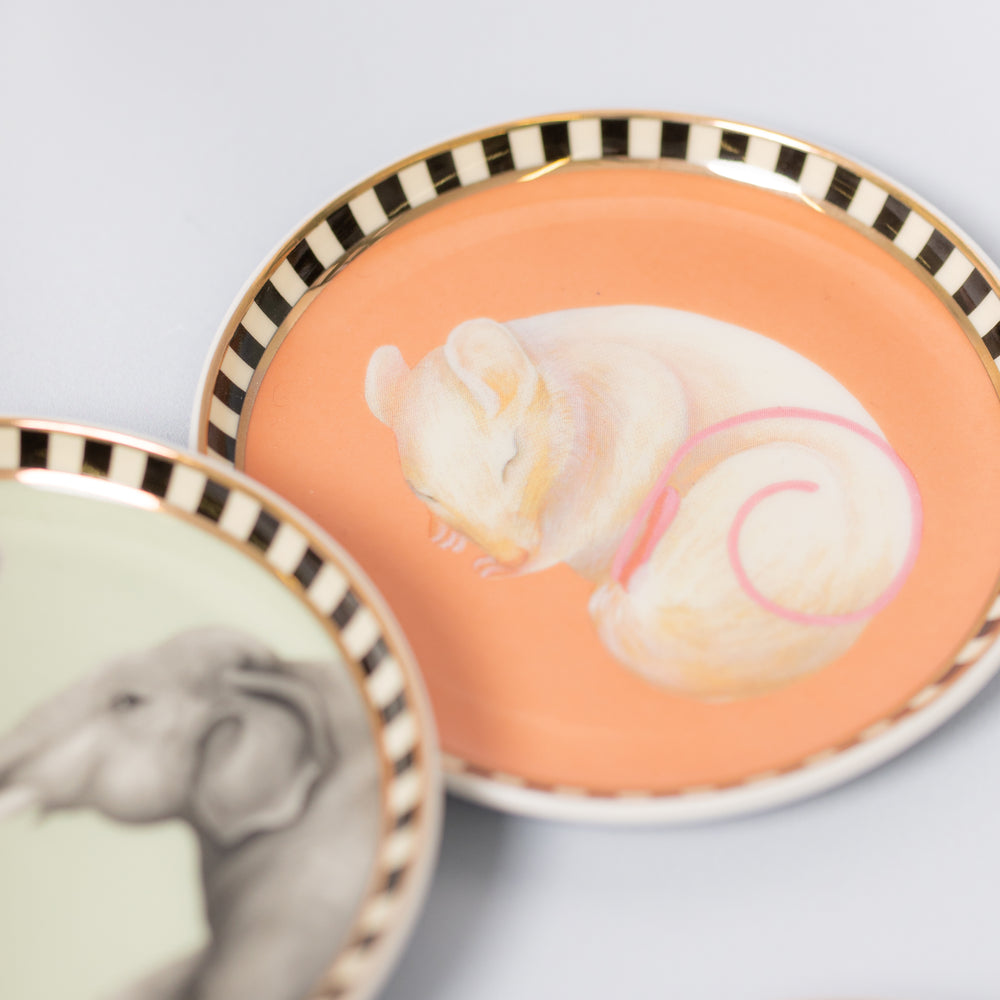 Yvonne Ellen Ceramic Coasters, Animals ( Set Of 4 )