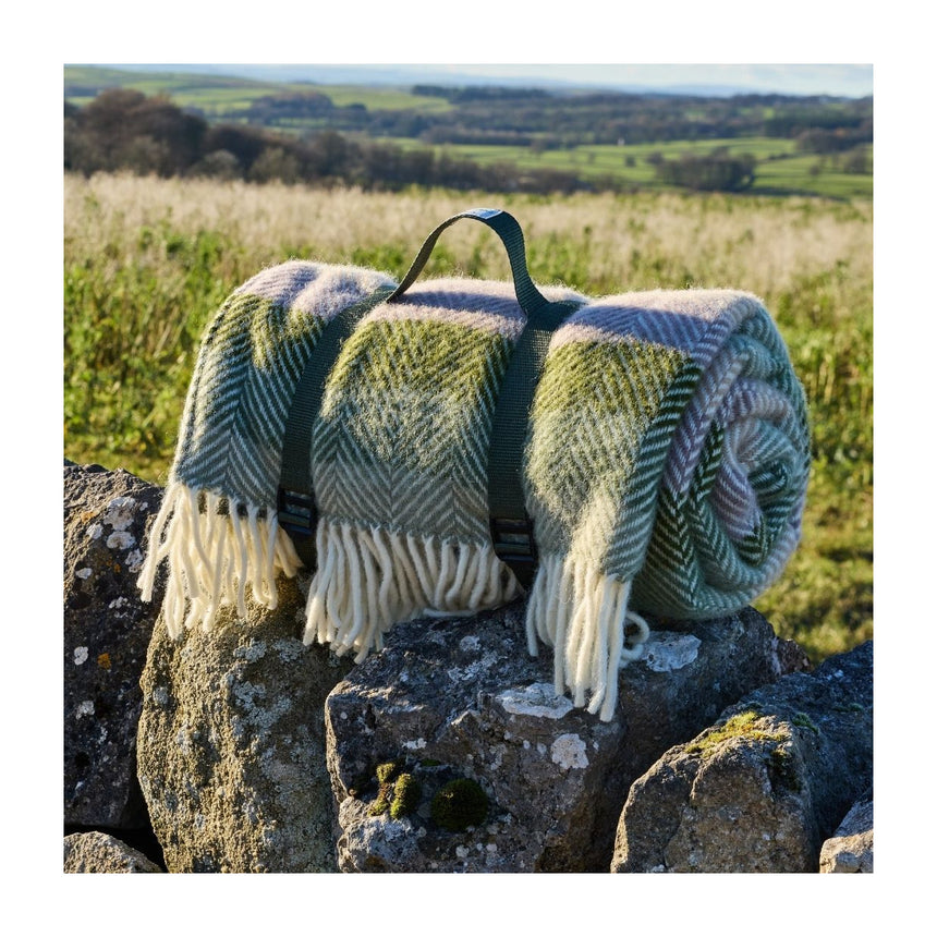 Tweedmill Polo Pure Wool Knitted Picnic Blanket, Botanical Stripe