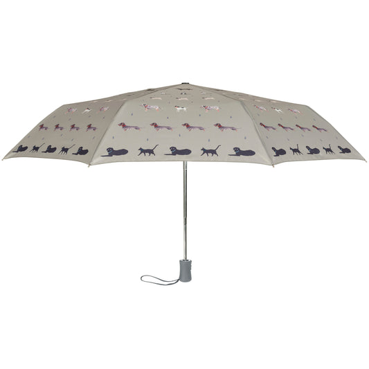 Sophie Allport Foldable Umbrella, Raining Cats & Dogs