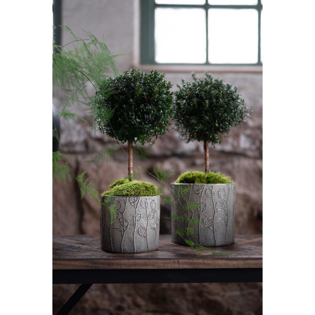 Wikholm Saga Ceramic Plant Pot, Grey