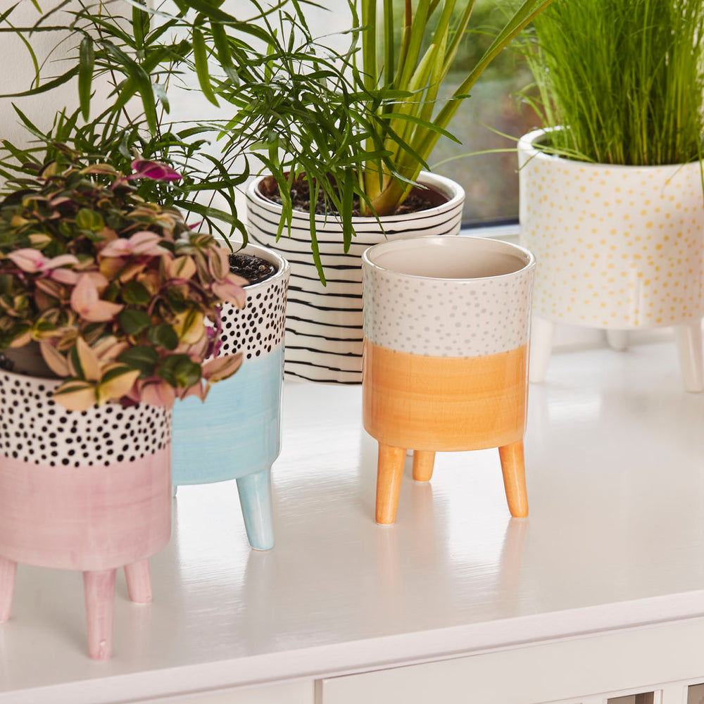 Bahne Ceramic Flower Pot  Blue