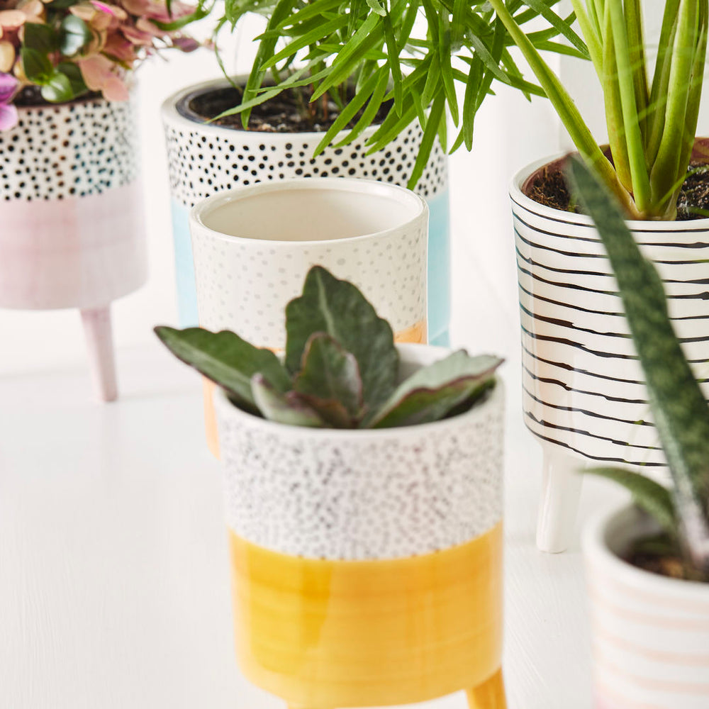Bahne Ceramic Planter Stripes