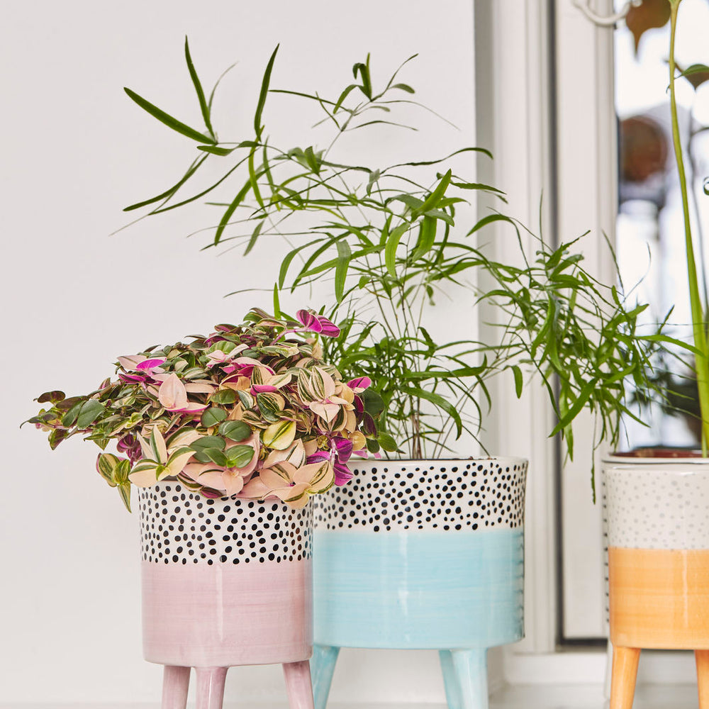 Bahne Ceramic Planter Spotty Blue Large