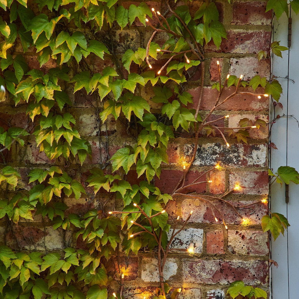 Dual Powered LED Ivy Fairy Light, Brown