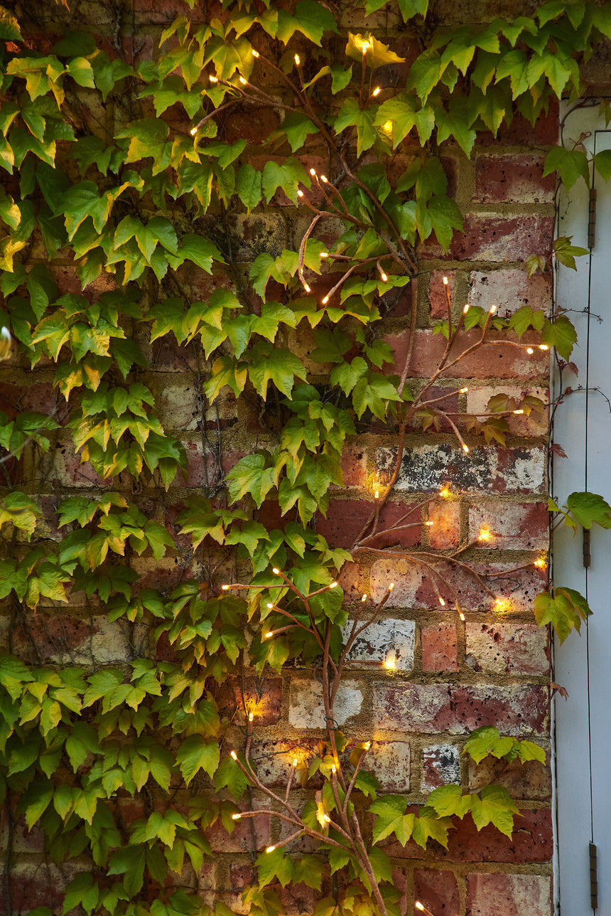 Dual Powered LED Ivy Fairy Light, Brown