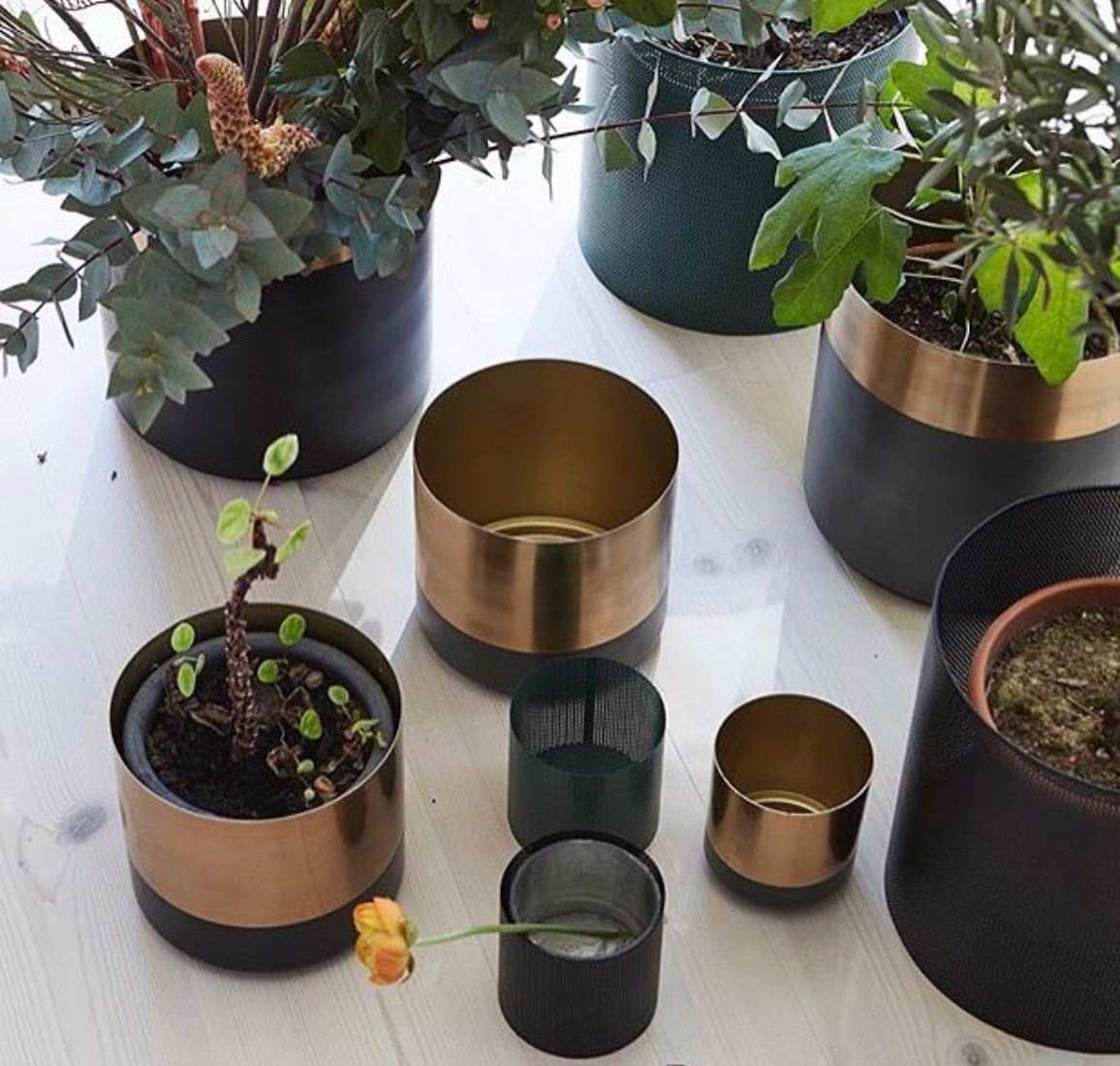 On Interior Aria Plant Pot Silver/ Black
