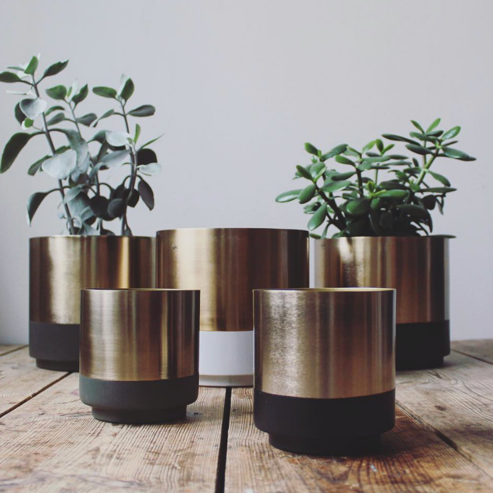 On Interior Aria Plant  Pot  Silver/ Black