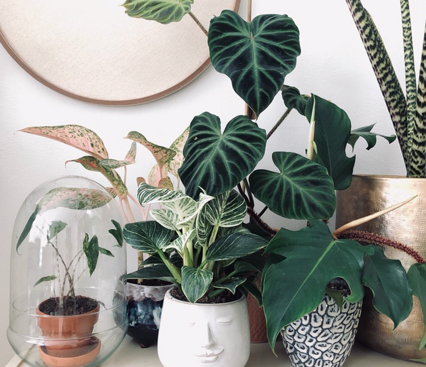 Bloomingville Textured Stoneware Flower Pot Blue/ white