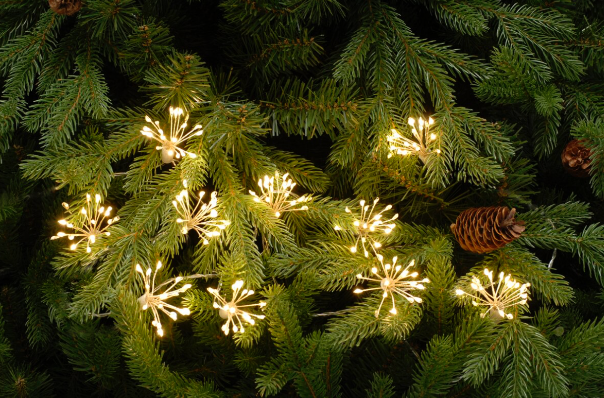 Starbursts LED Fairy Lights (Battery Operated)