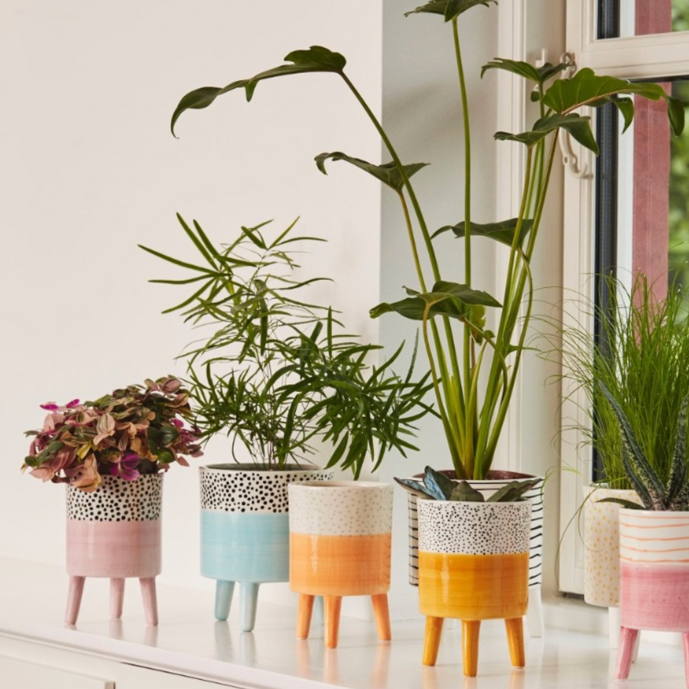 Bahne Ceramic Planter Pale Yellow Dots