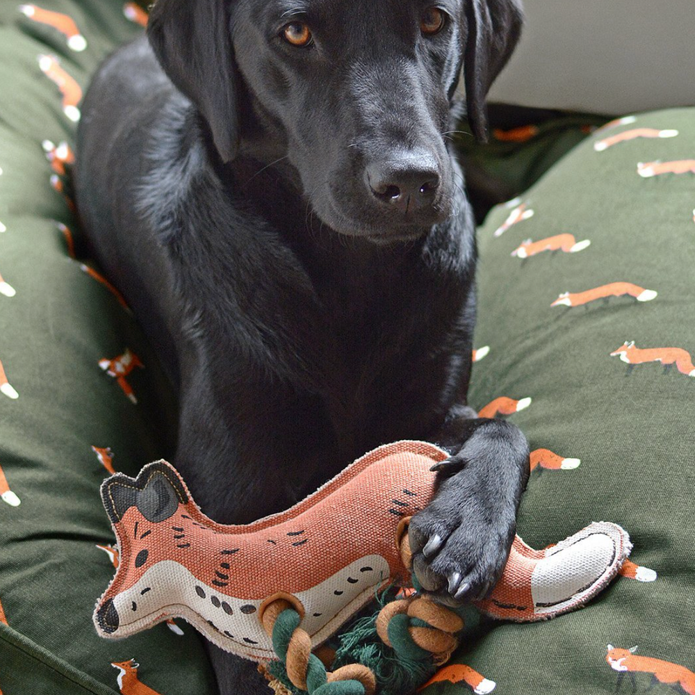 Sophie Allport Dog Toy, Fox