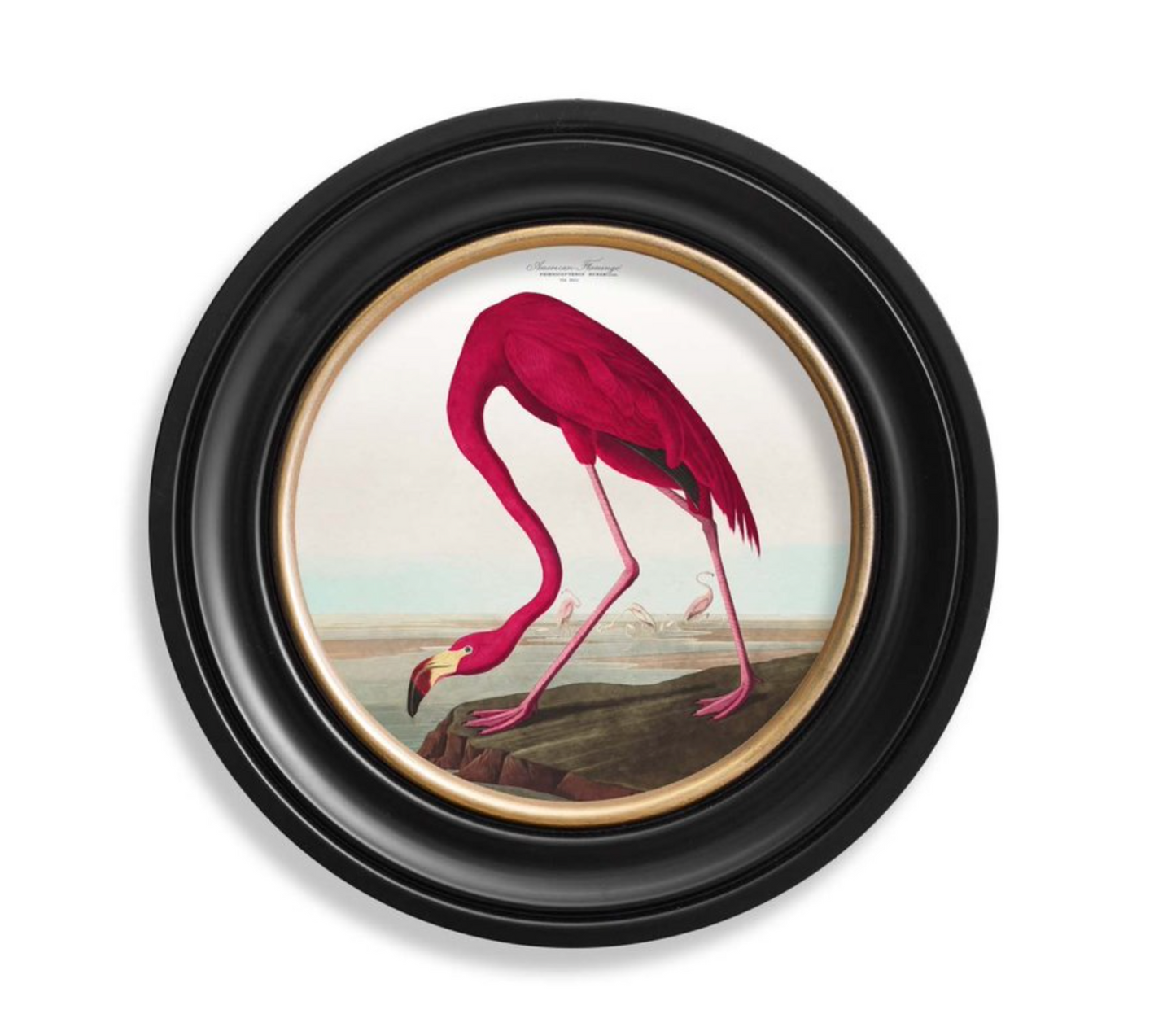 Vintage Round Framed Print Flamingo
