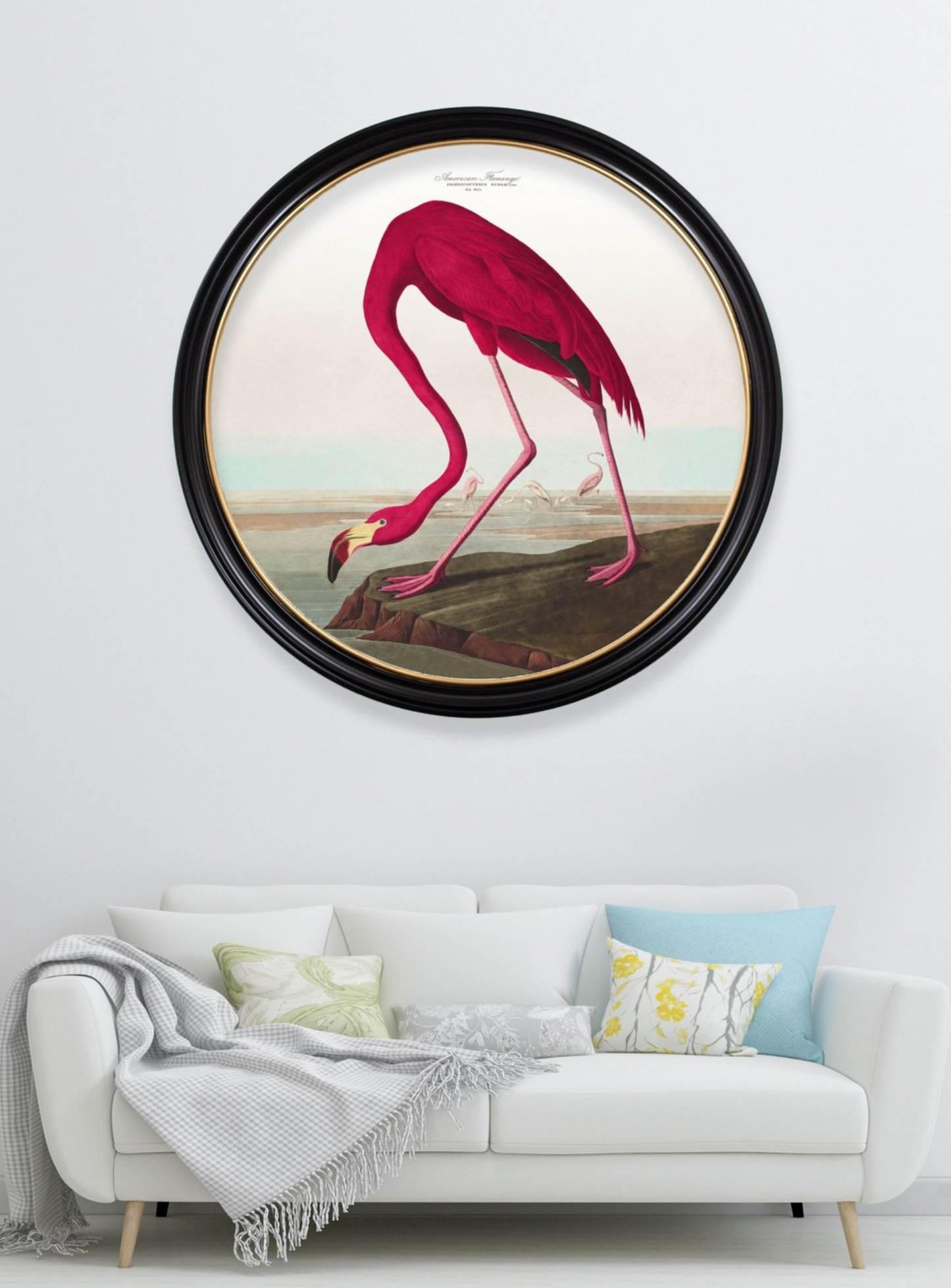 Vintage Round Framed Print Flamingo