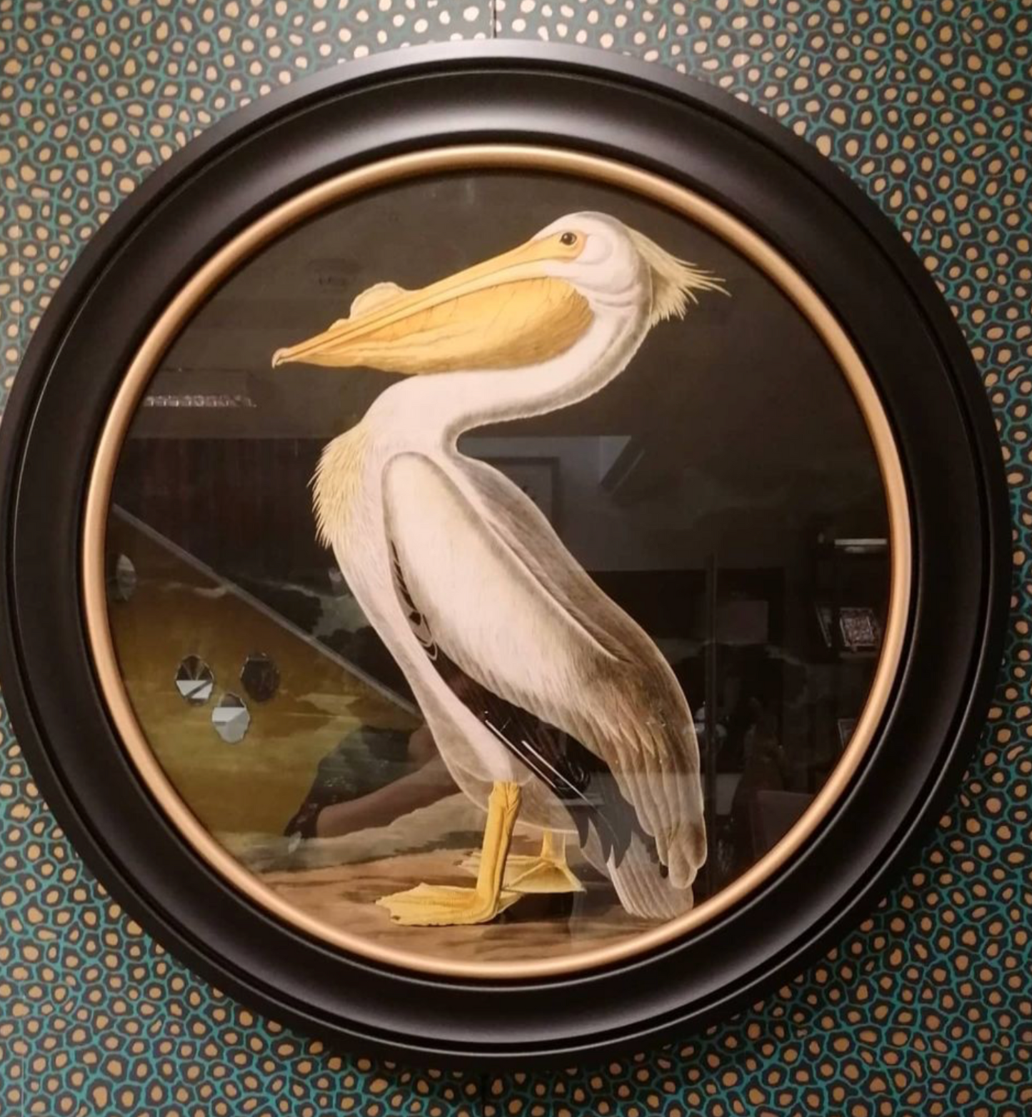 Vintage Round Framed Print, Pelican