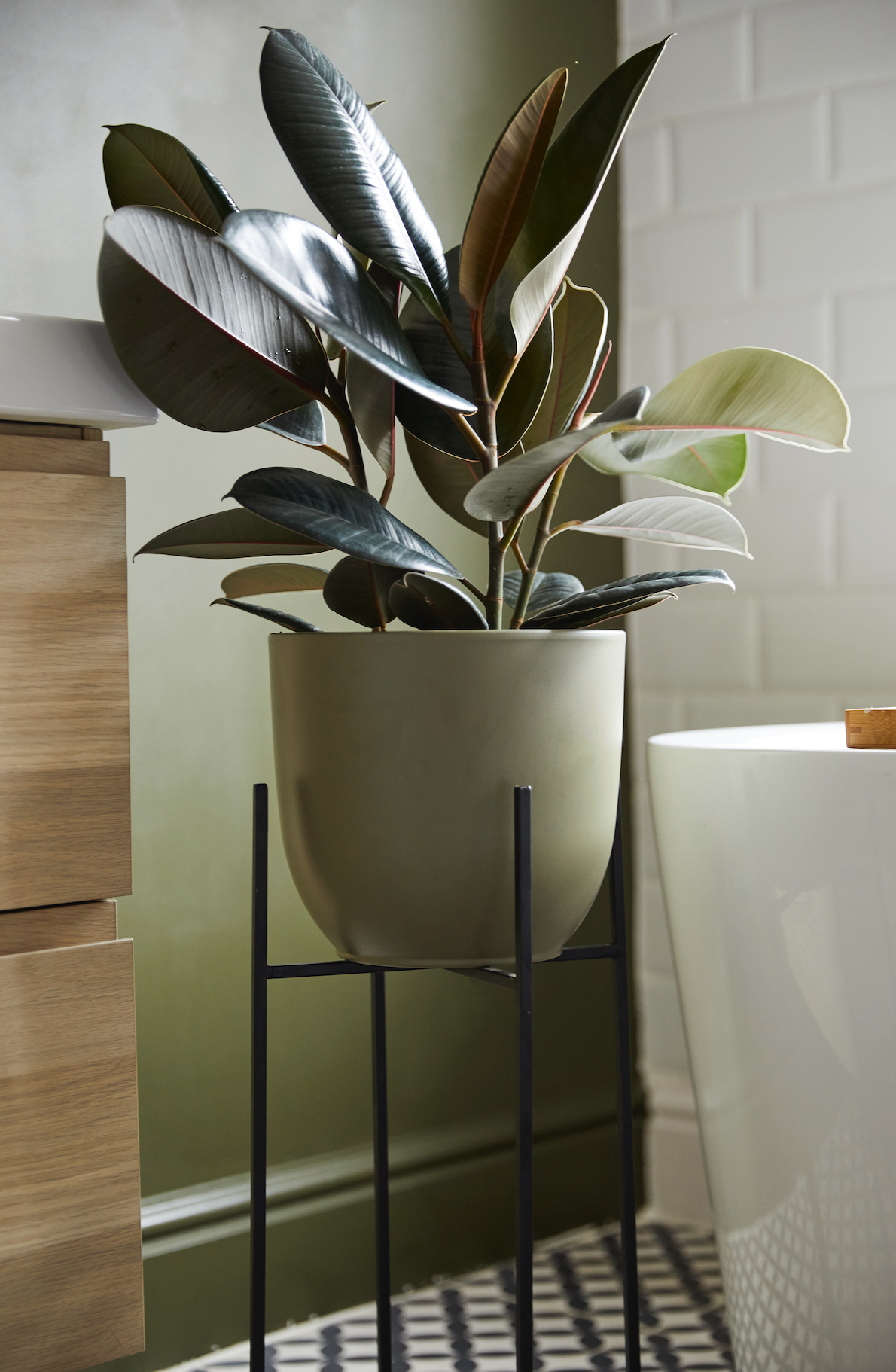 Siena Ceramic Plant Pot, Green