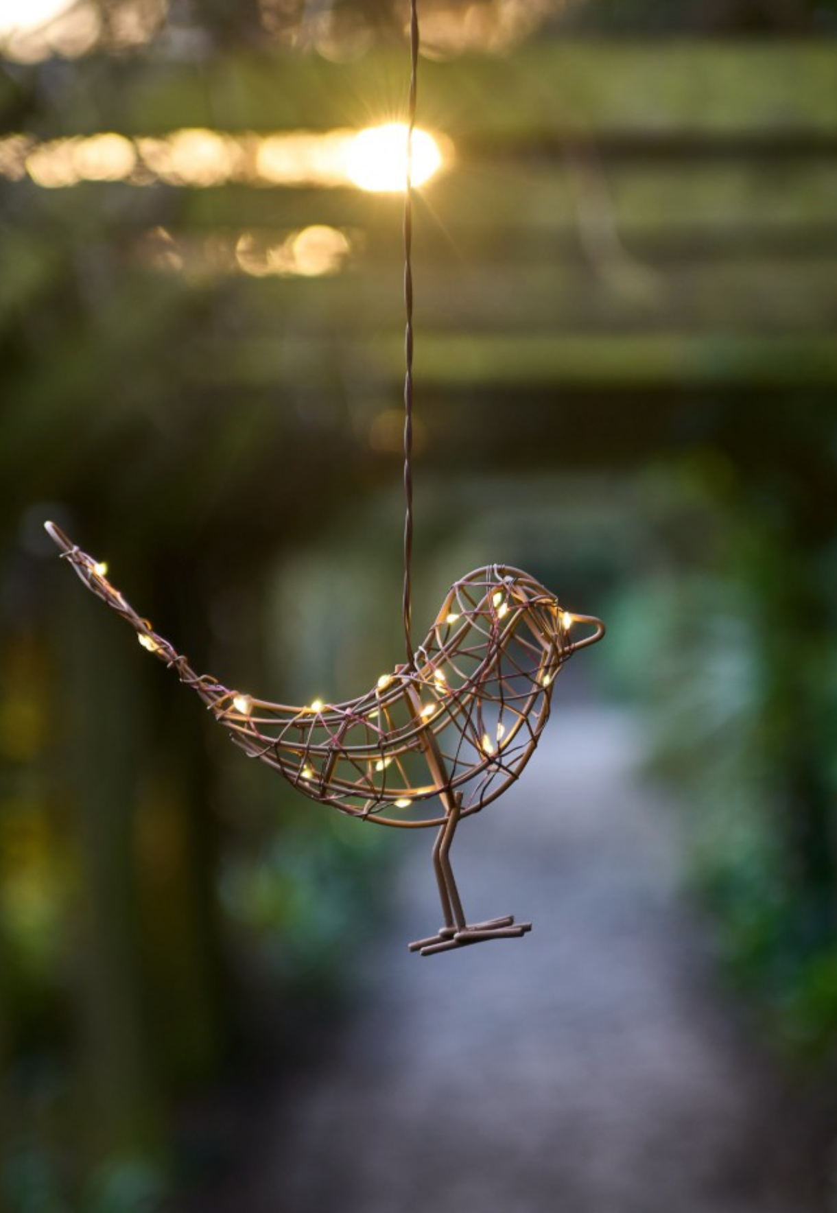 Hanging Robin LED Fairy Light ( Battery Powered )