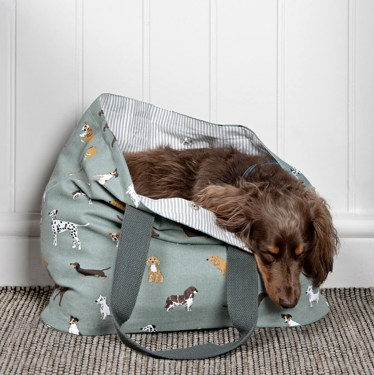 Sophie Allport Canvas Everyday Tote Bag, Fetch