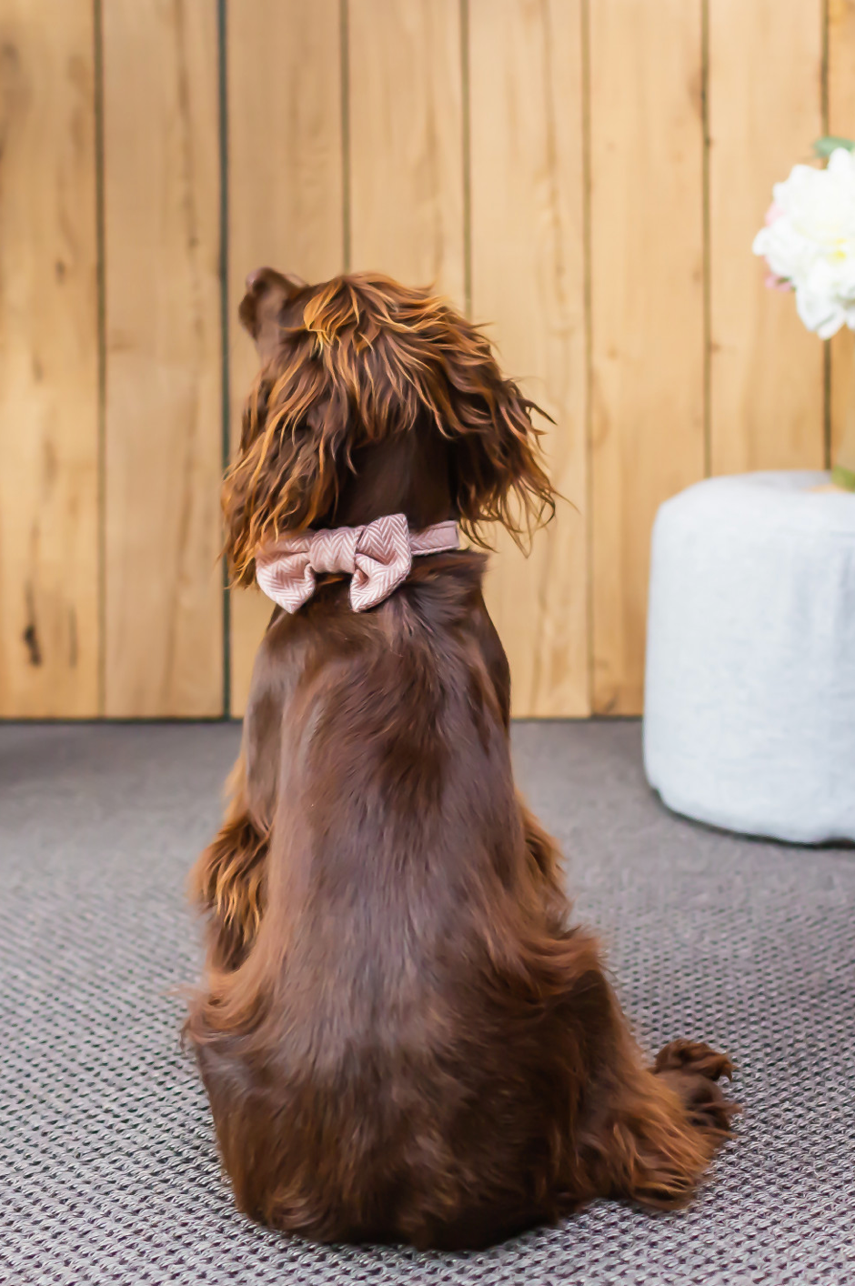 Tweedmill Rolled Tweed Dog Collar, Dusky Pink