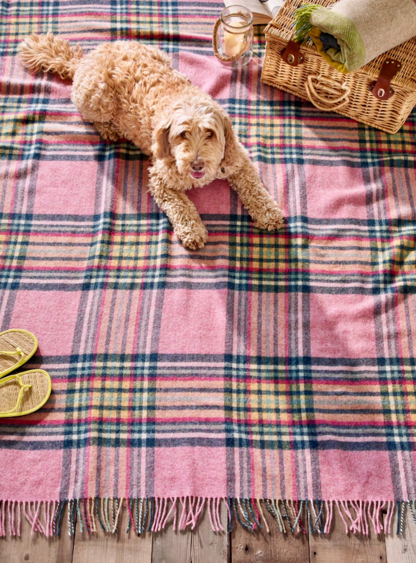 Bronte By Moon St Ives Shetland Wool Throw Blanket, Pink
