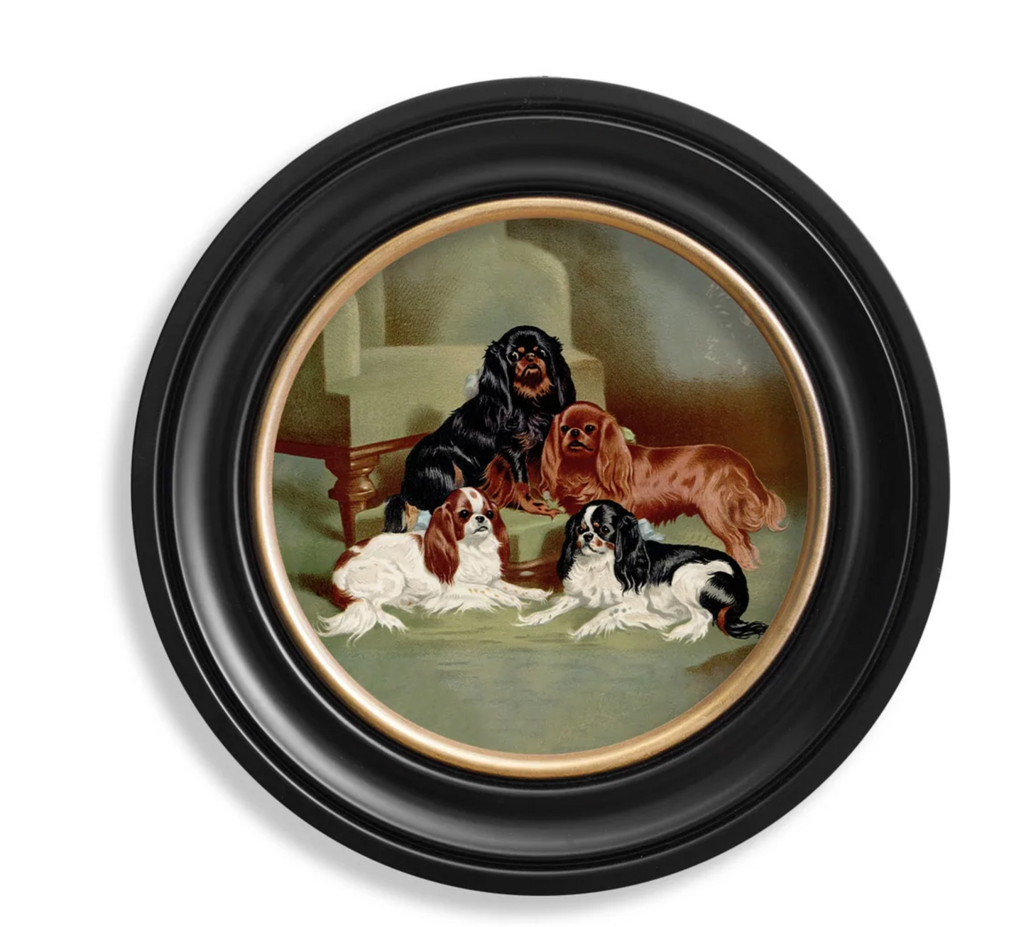 Vintage Round Framed Print 1881 Dogs, Toy Spaniels