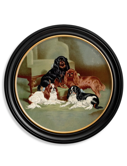 Vintage Round Framed Print 1881 Dogs, Toy Spaniels