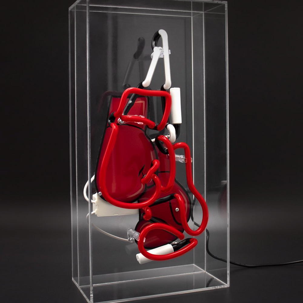 Locomocean Acrylic Box Neon Boxing Gloves