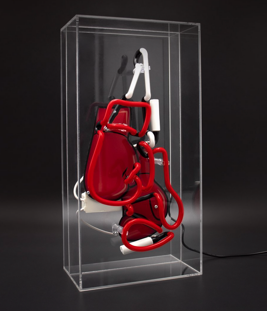 Locomocean Acrylic Box Neon Boxing Gloves