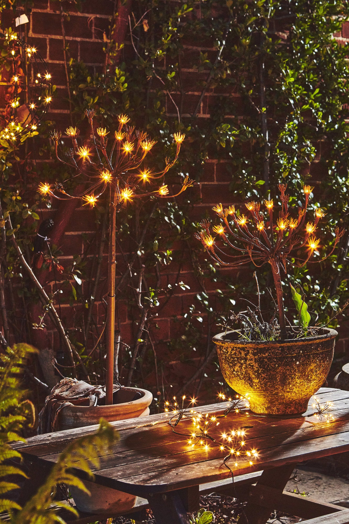 Wild Fennel Fairy LED Light ( Dual Powered )