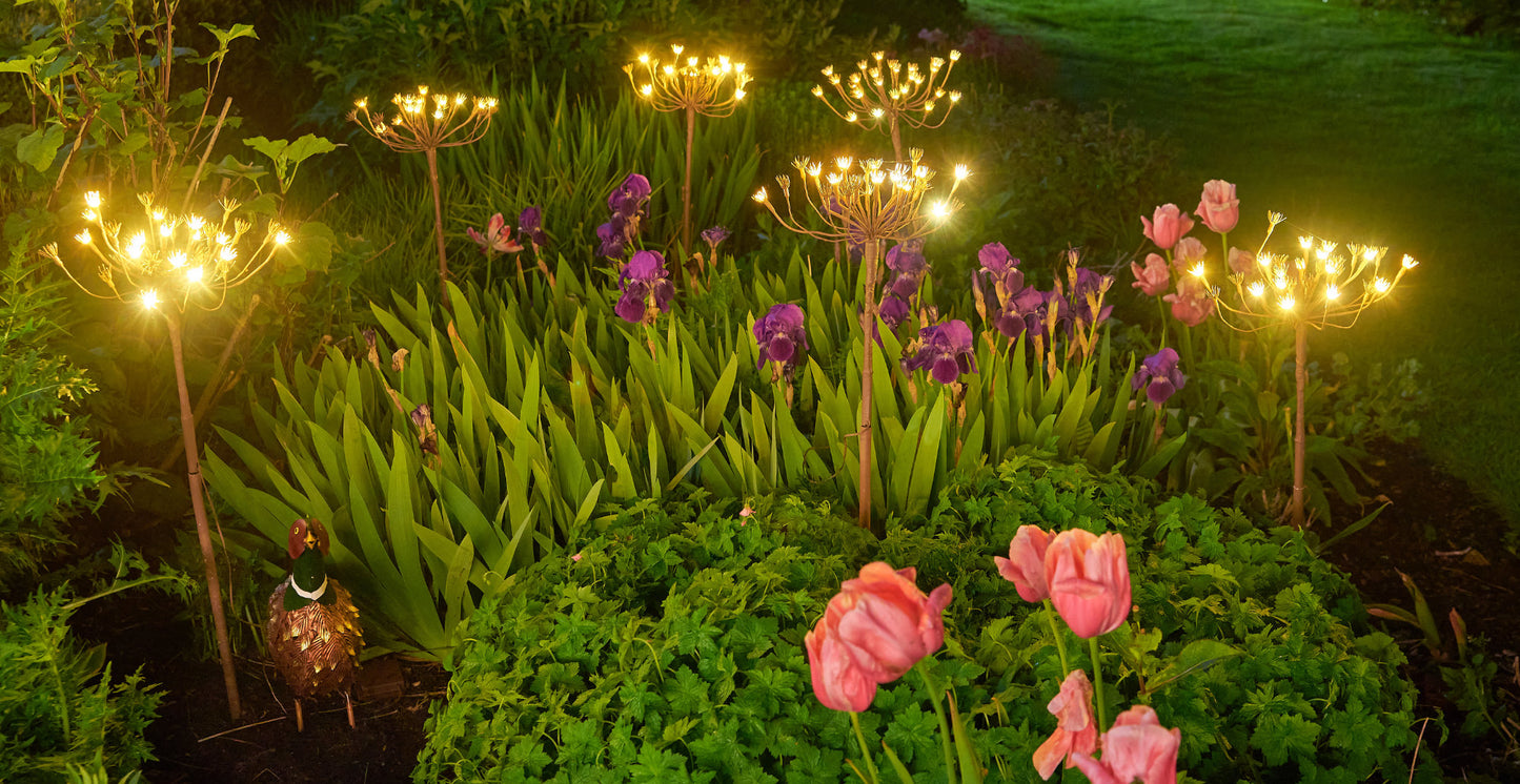 Wild Fennel Fairy LED Light ( Dual Powered )