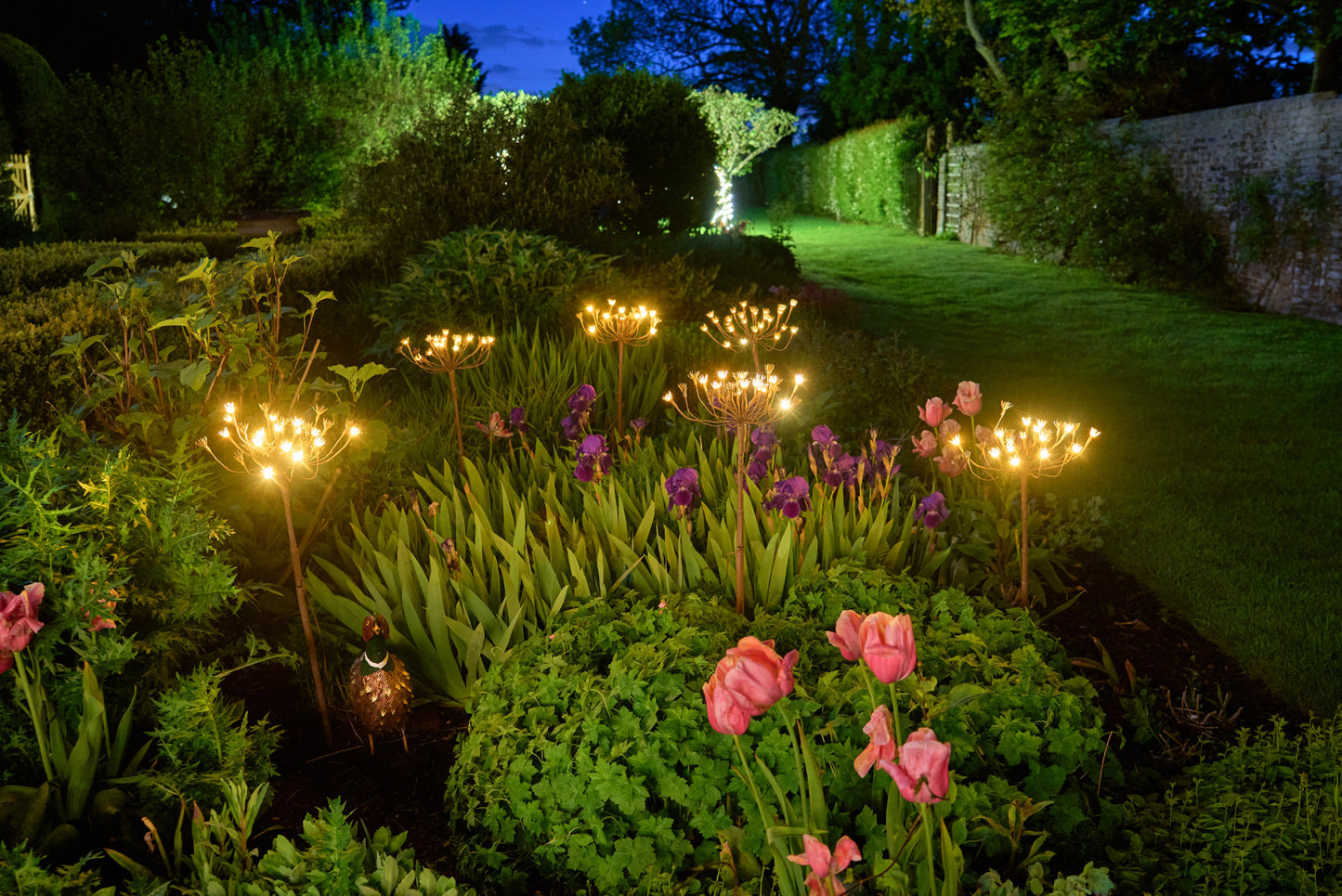 Wild Fennel Fairy LED Light ( Dual Powered )
