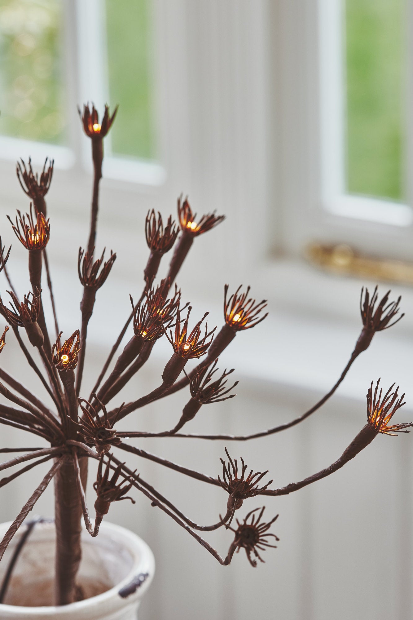 Wild Fennel Fairy LED Light ( Dual Powered )
