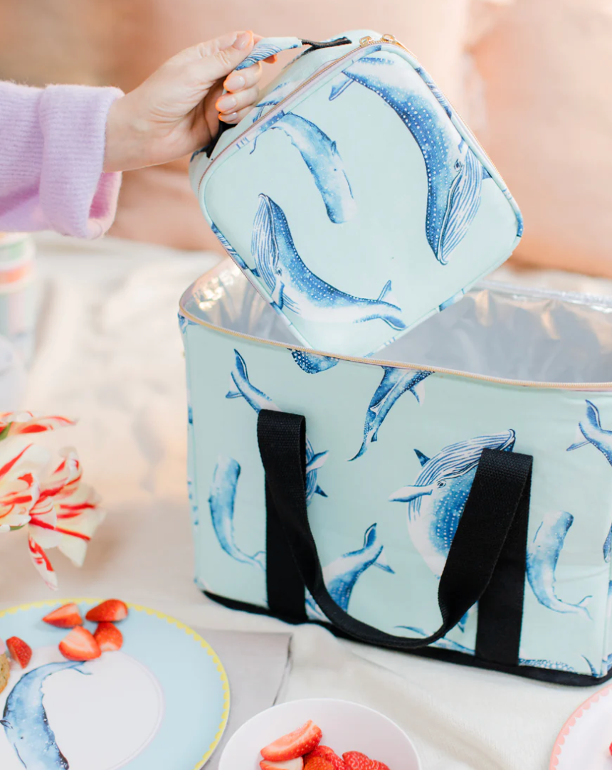 Lunch Boxes