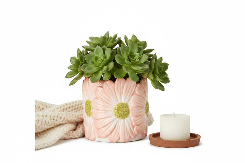 Wikholm Esther Mini Ceramic Plant Pot, Pink