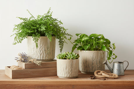 Three beige ceramic planters with embossed plant designs on a white background