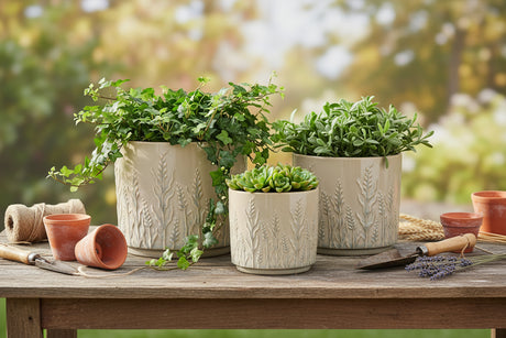 Three beige ceramic planters with embossed plant designs on a white background