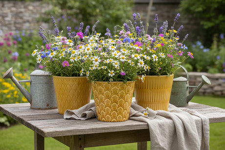 Three yellow ceramic pots with different patterns on a white background