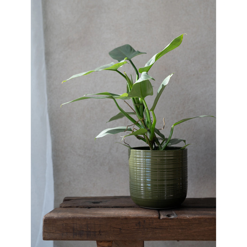 Wikholm Addison Ceramic Plant Pot, Green