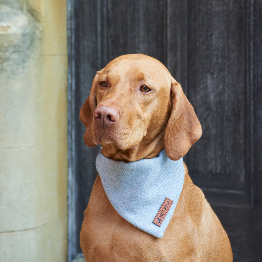 Sweet William Tweed Dog Bandana, Grey