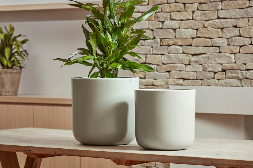 Capri Ceramic Plant Pot, Sage Green
