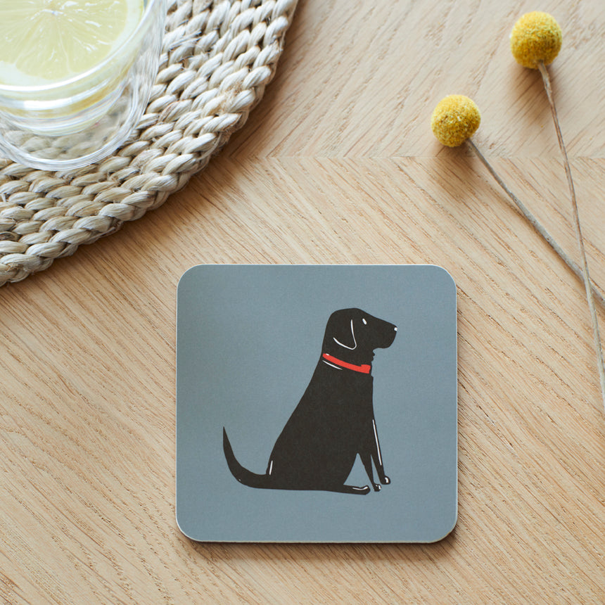 Sweet William Coaster, Black Labrador