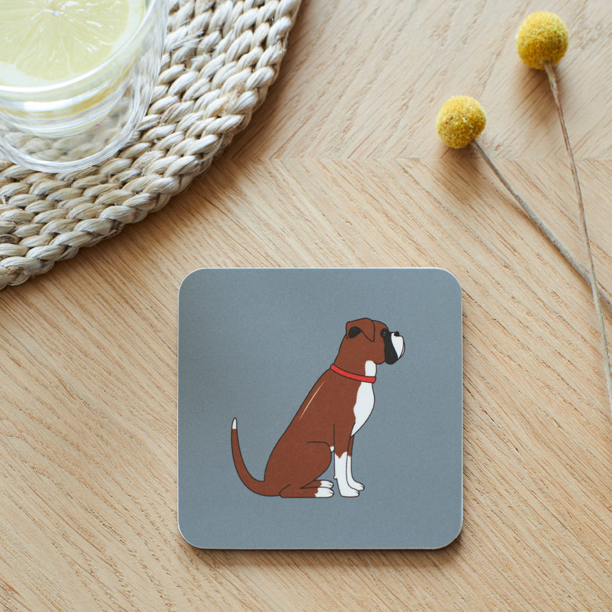 Sweet William Coaster, Boxer