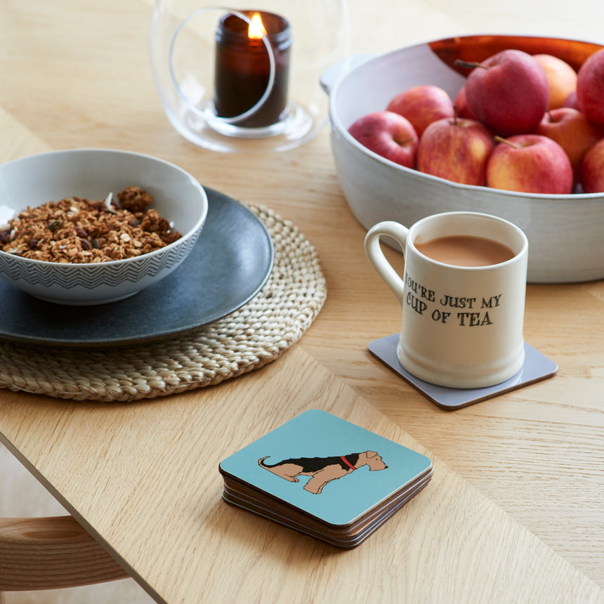 Sweet William Coaster, Welsh Terrier