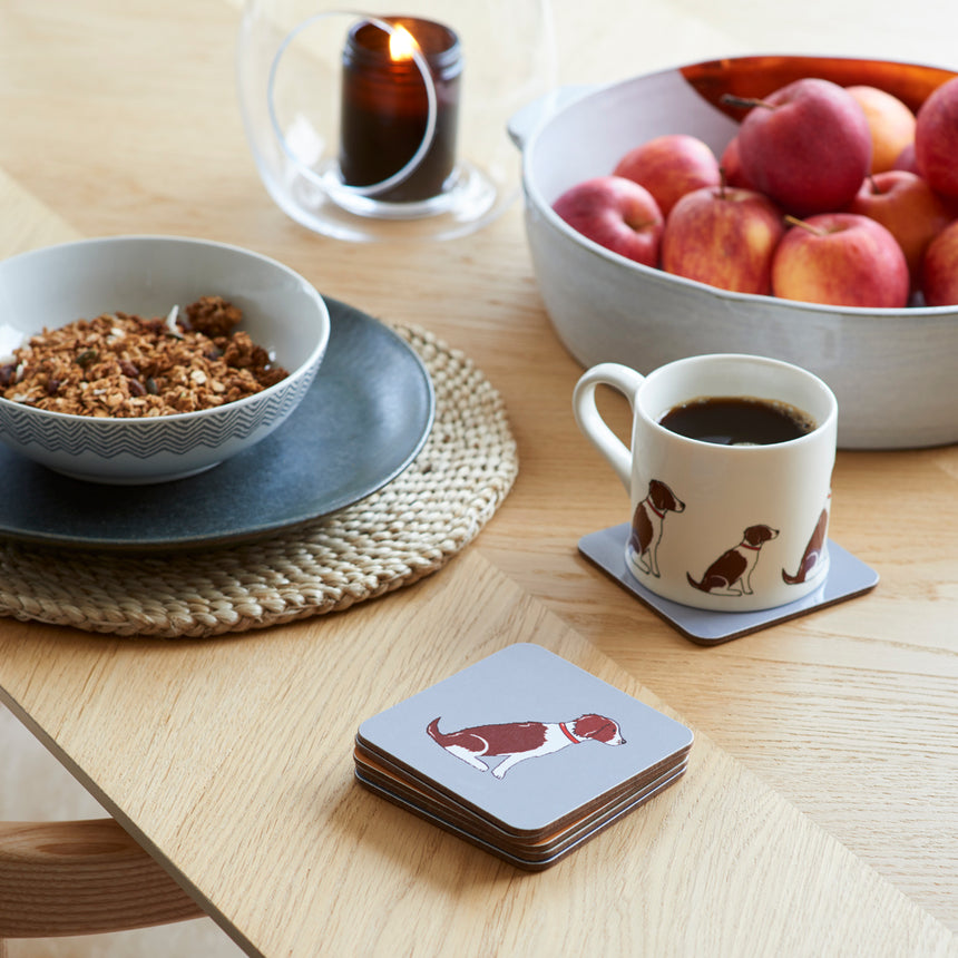 Sweet William Coaster, Springer Spaniel Liver & White